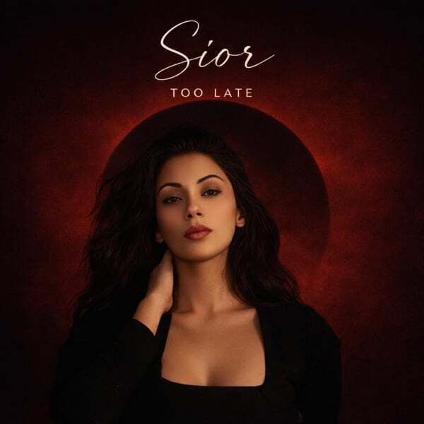 Cover art for Too Late